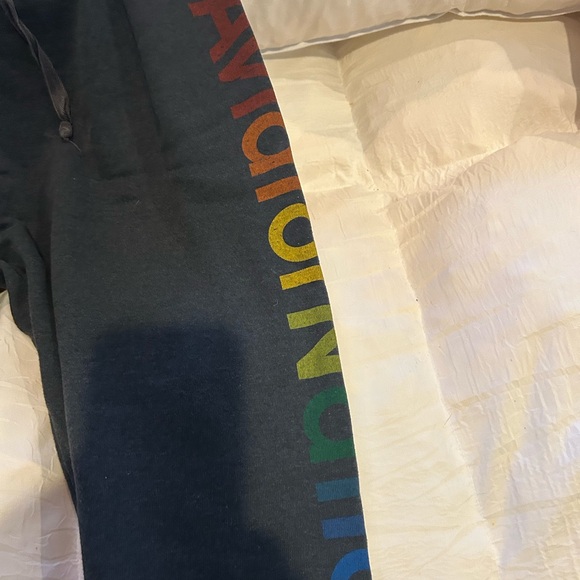 Aviator Nation Gray Joggers with Multicolor Logo - Picture 3 of 7